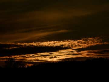 Prøver å glemme dagen idag fordi.....